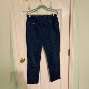 Chadwicks Dark Blue Stretch Pull-On Jeggings